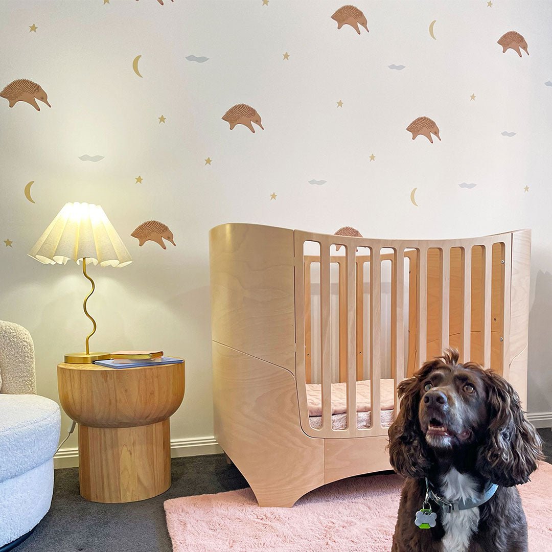 Echidna Animal Wall Decal - All This POMP
