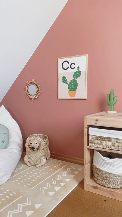 Shapes of Nature Decals